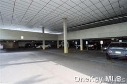 233 E Shore Road Unit: 204 thumbnail 3