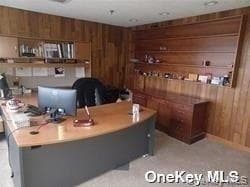 233 E Shore Road Unit: 204 thumbnail 6