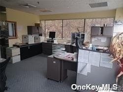 233 E Shore Road Unit: 204 thumbnail 8