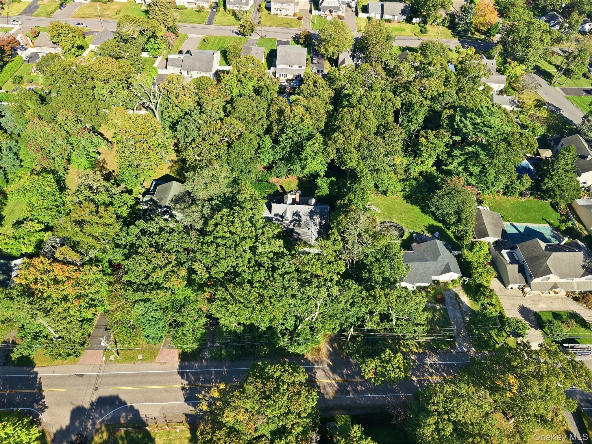 31 Woodland Drive thumbnail 32