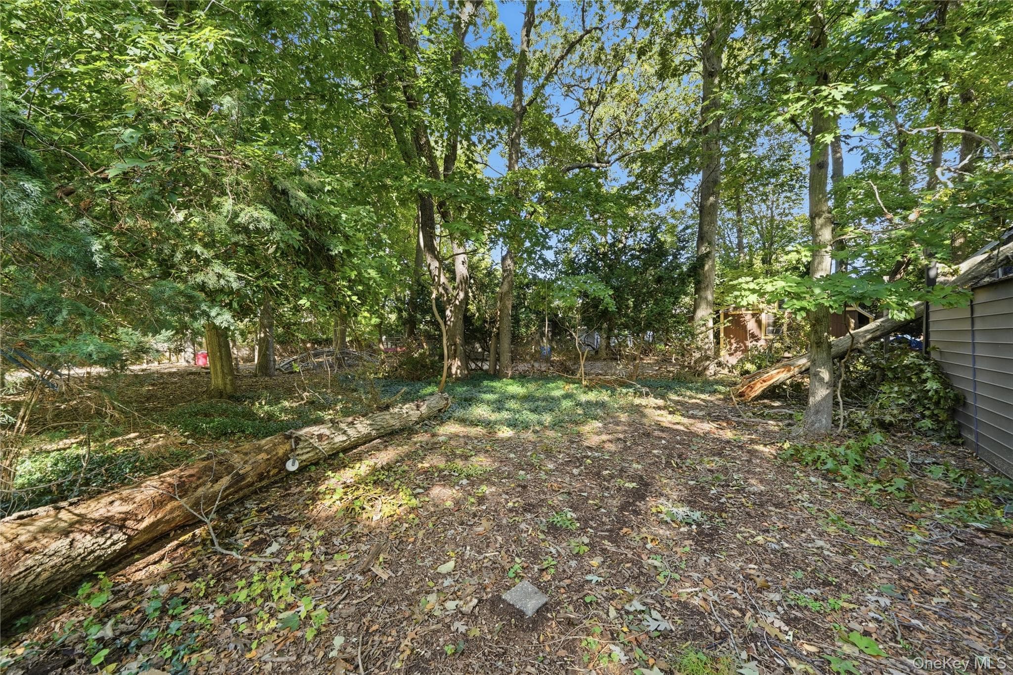 31 Woodland Drive thumbnail 30