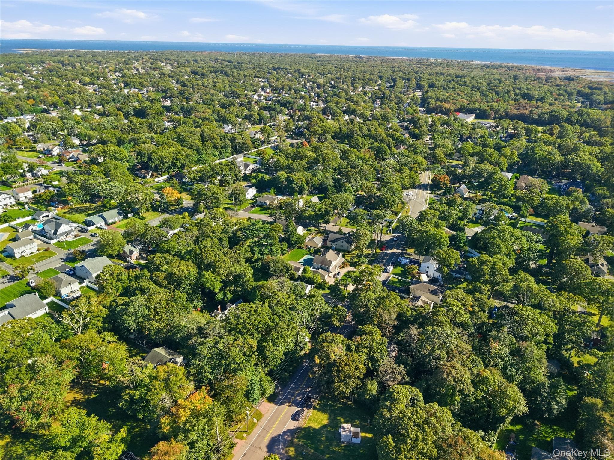 31 Woodland Drive thumbnail 33