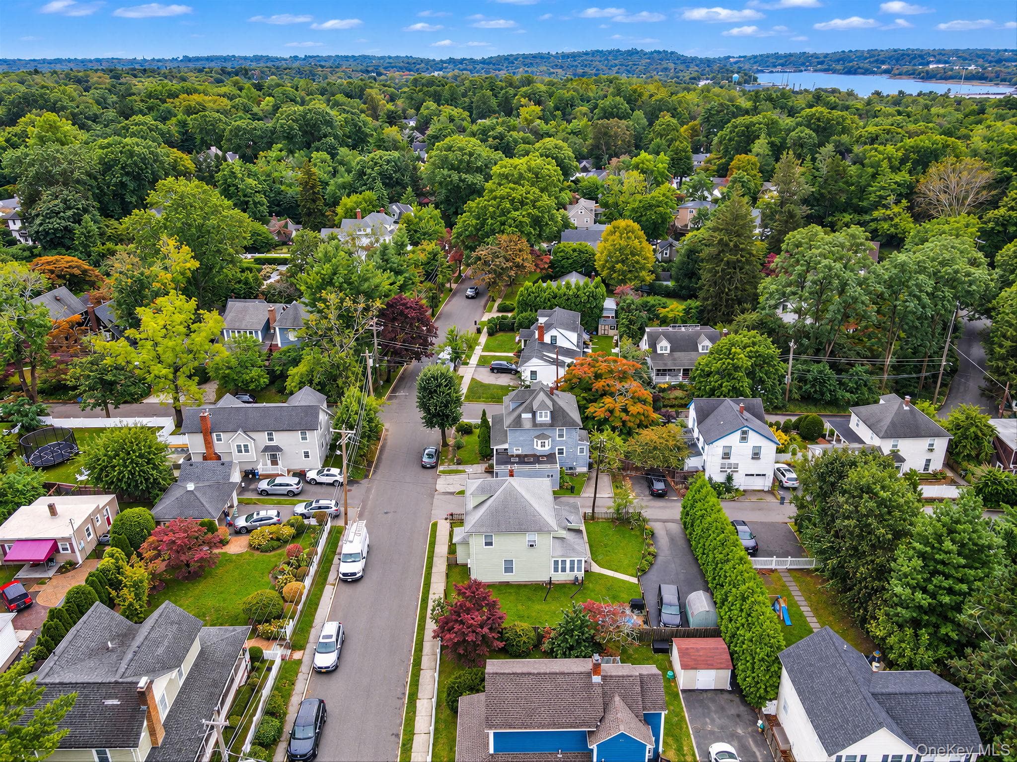 46 Glenlawn Avenue thumbnail 43