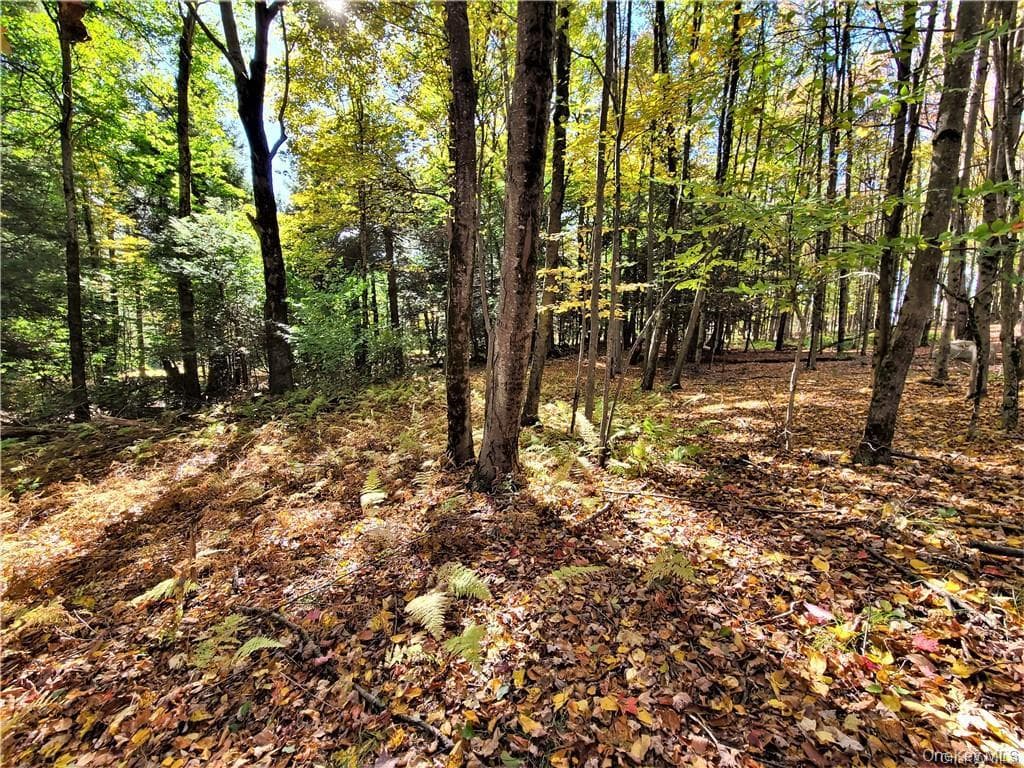 Lot 5.4 Kaufman Road thumbnail 39