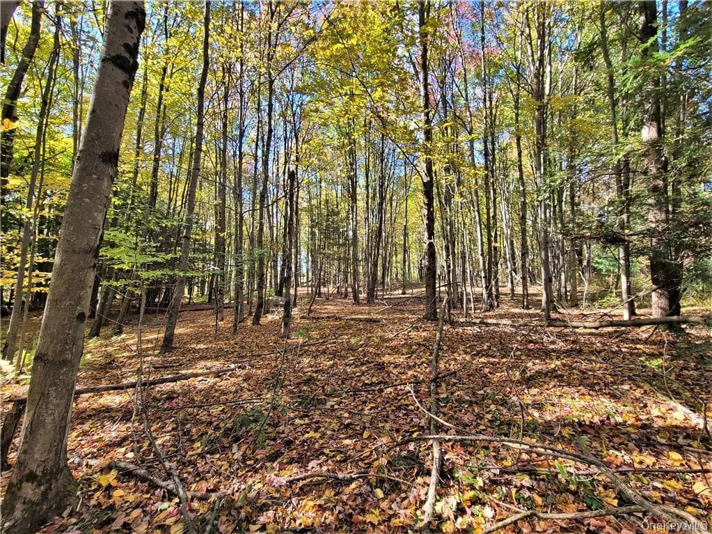Lot 5.4 Kaufman Road thumbnail 38