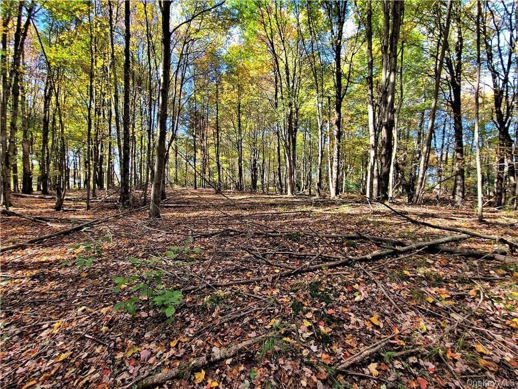Lot 5.4 Kaufman Road thumbnail 42