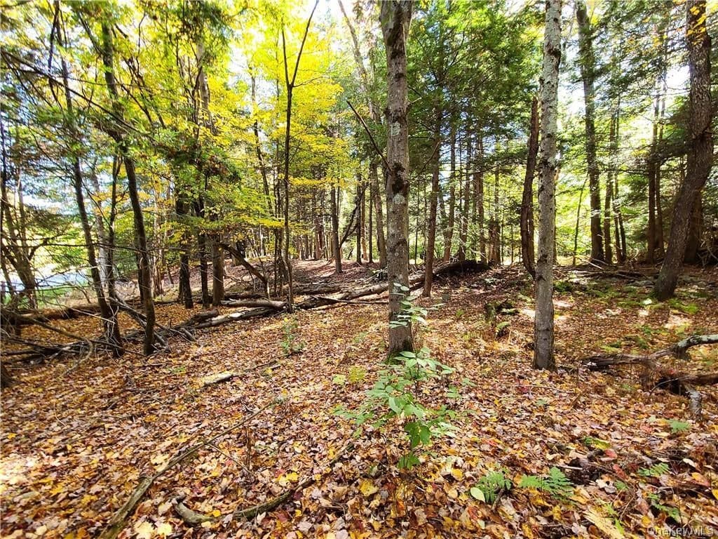 Lot 5.4 Kaufman Road thumbnail 44