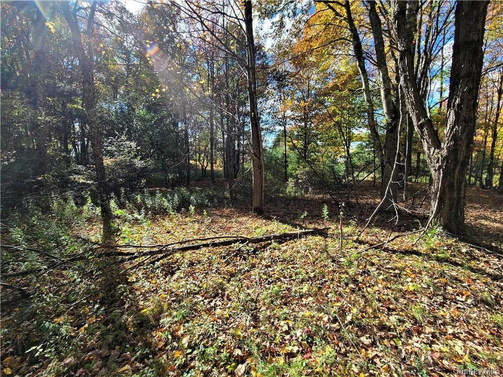 Lot 5.4 Kaufman Road thumbnail 36