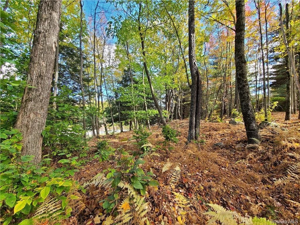 Lot 5.4 Kaufman Road thumbnail 31