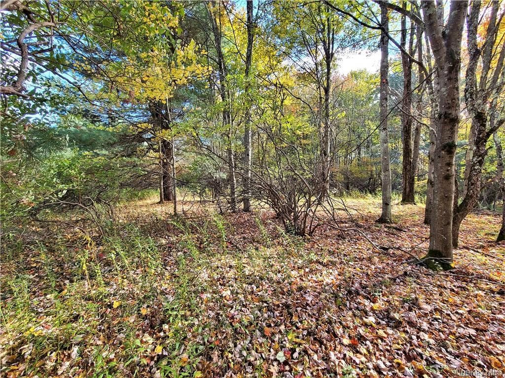 Lot 5.4 Kaufman Road thumbnail 33