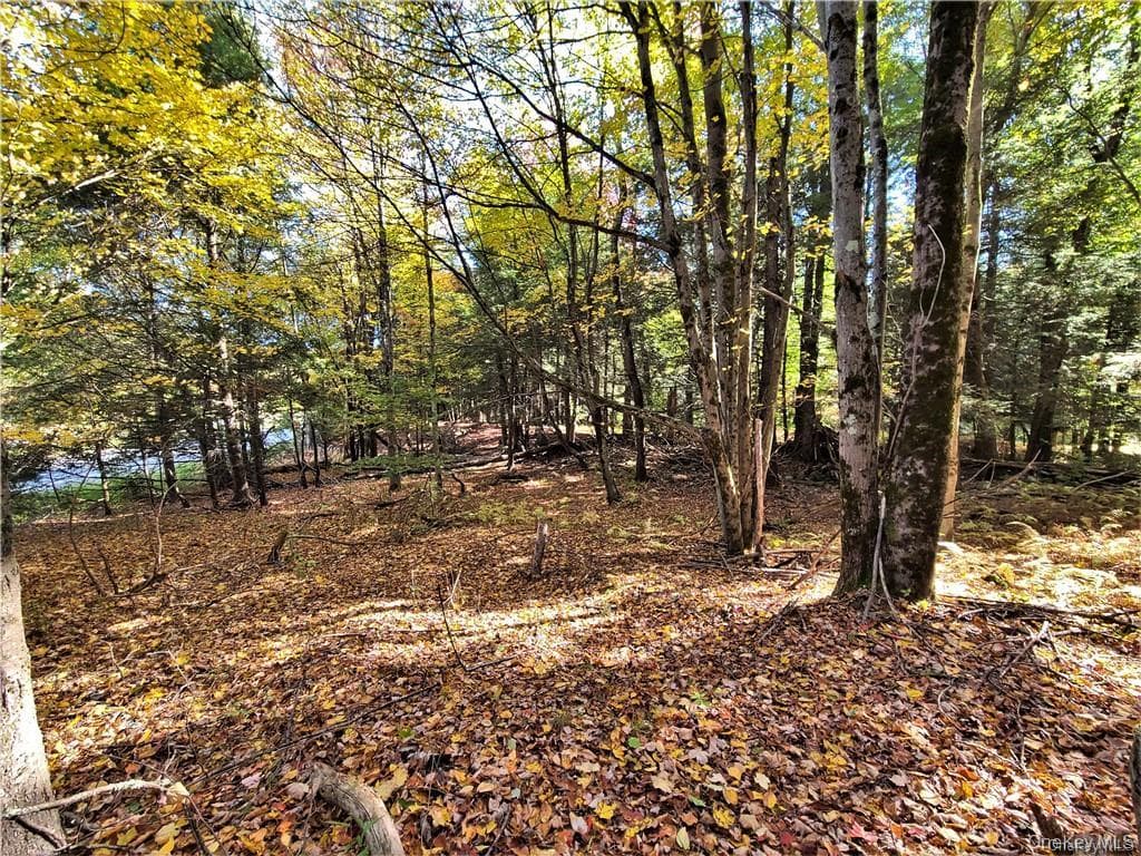 Lot 5.4 Kaufman Road thumbnail 43