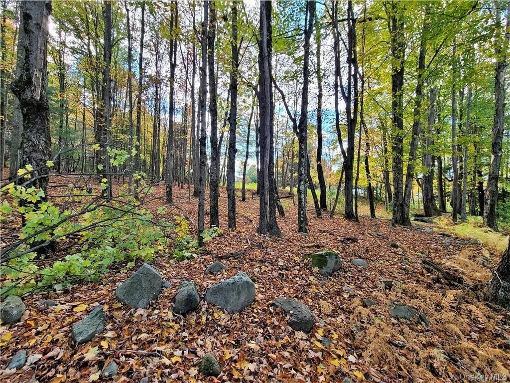 Lot 5.4 Kaufman Road thumbnail 32