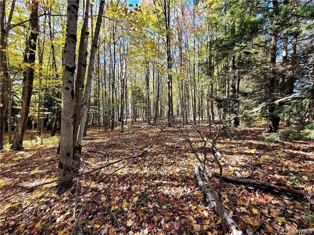 Lot 5.4 Kaufman Road thumbnail 37