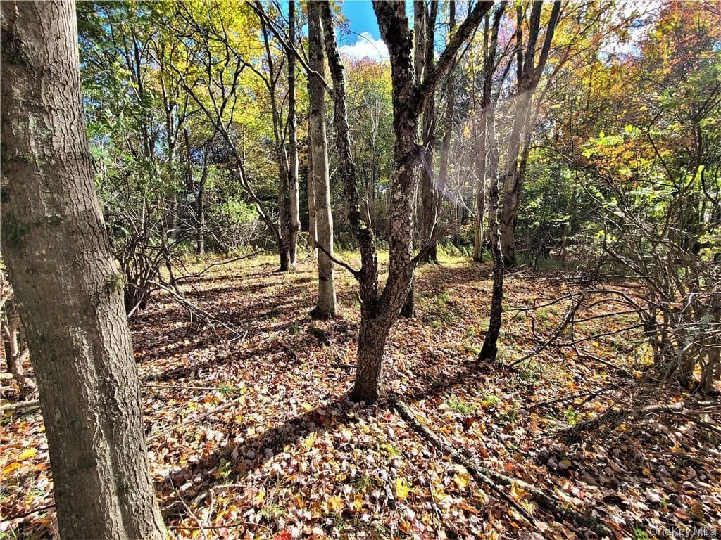 Lot 5.4 Kaufman Road thumbnail 34
