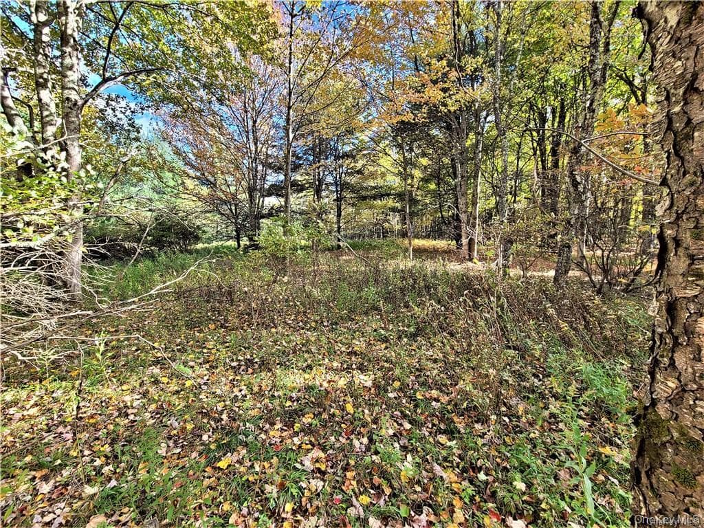 Lot 5.4 Kaufman Road thumbnail 35