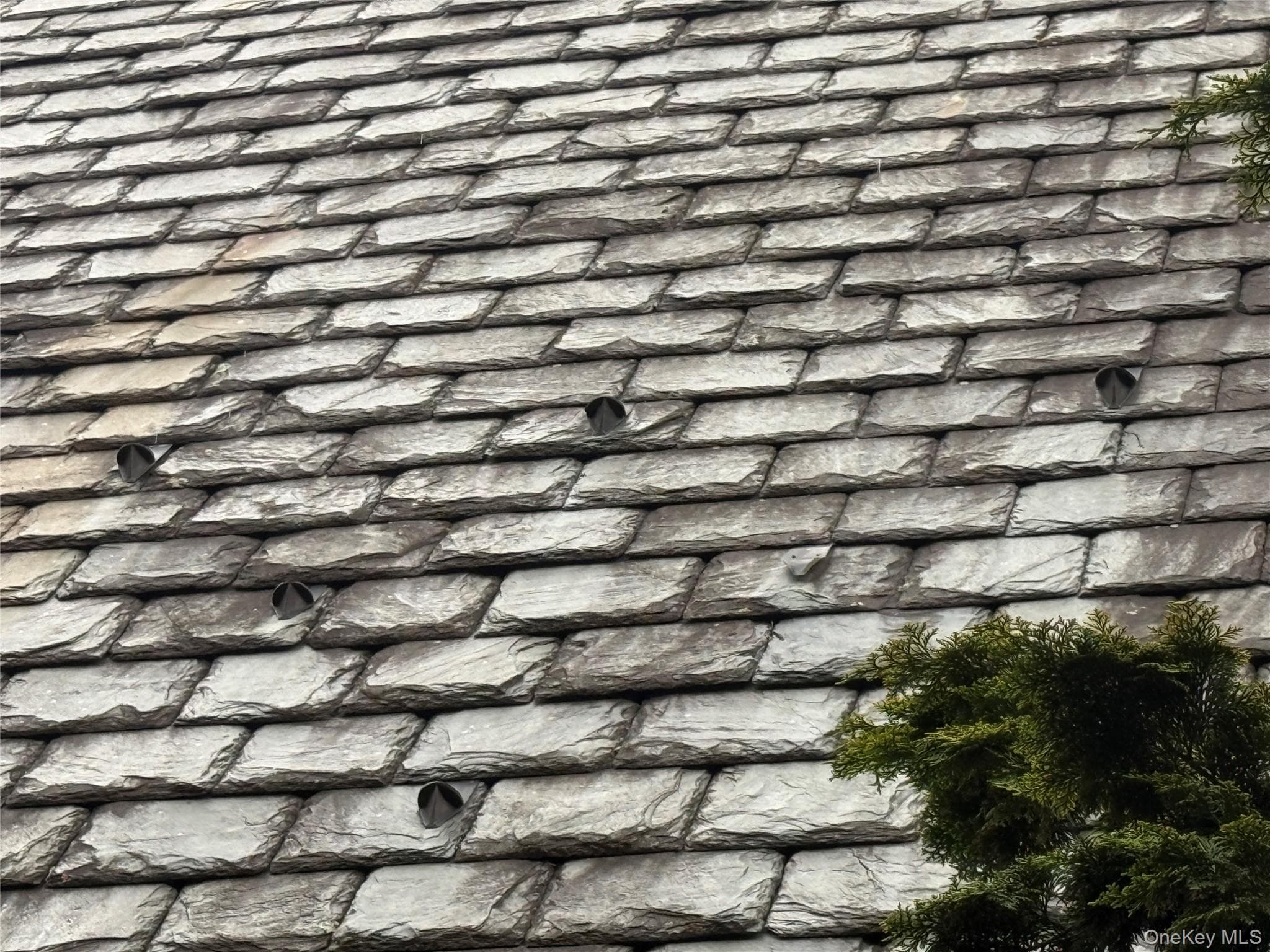 205 High Street thumbnail 30