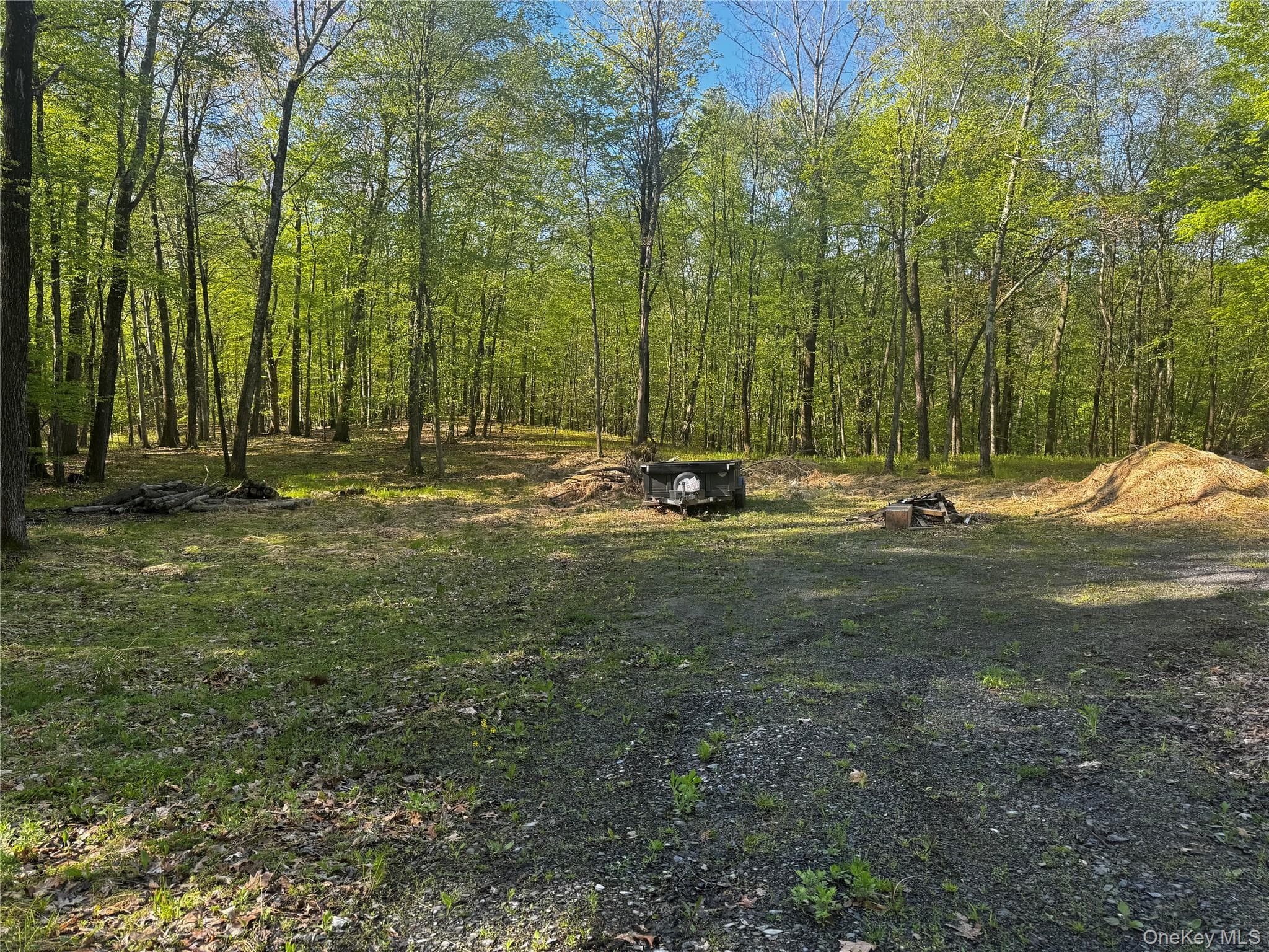 Hall Hill Road photo 1