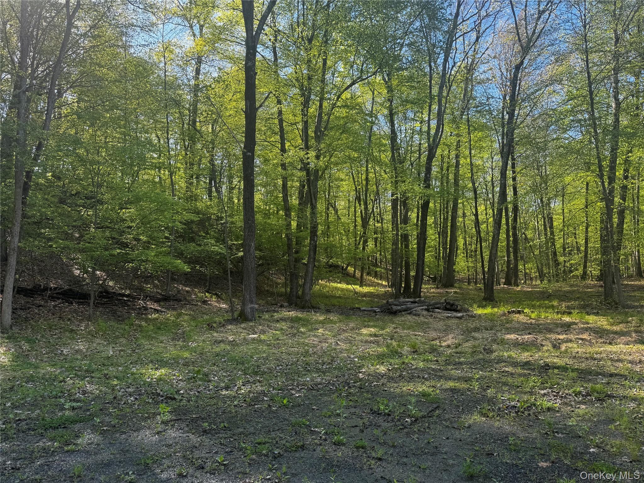 Hall Hill Road thumbnail 10