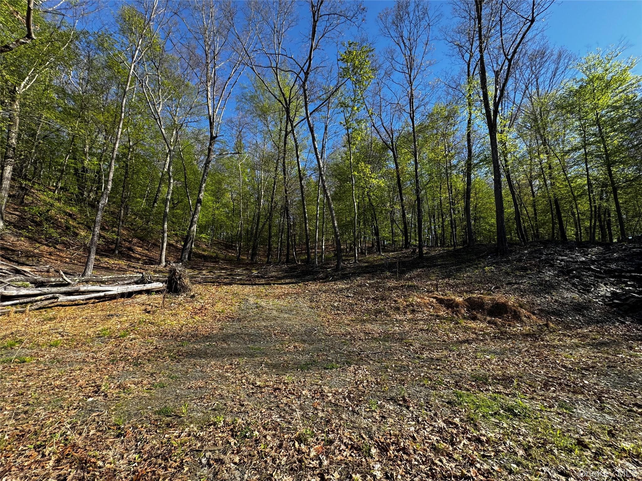 Hall Hill Road thumbnail 2