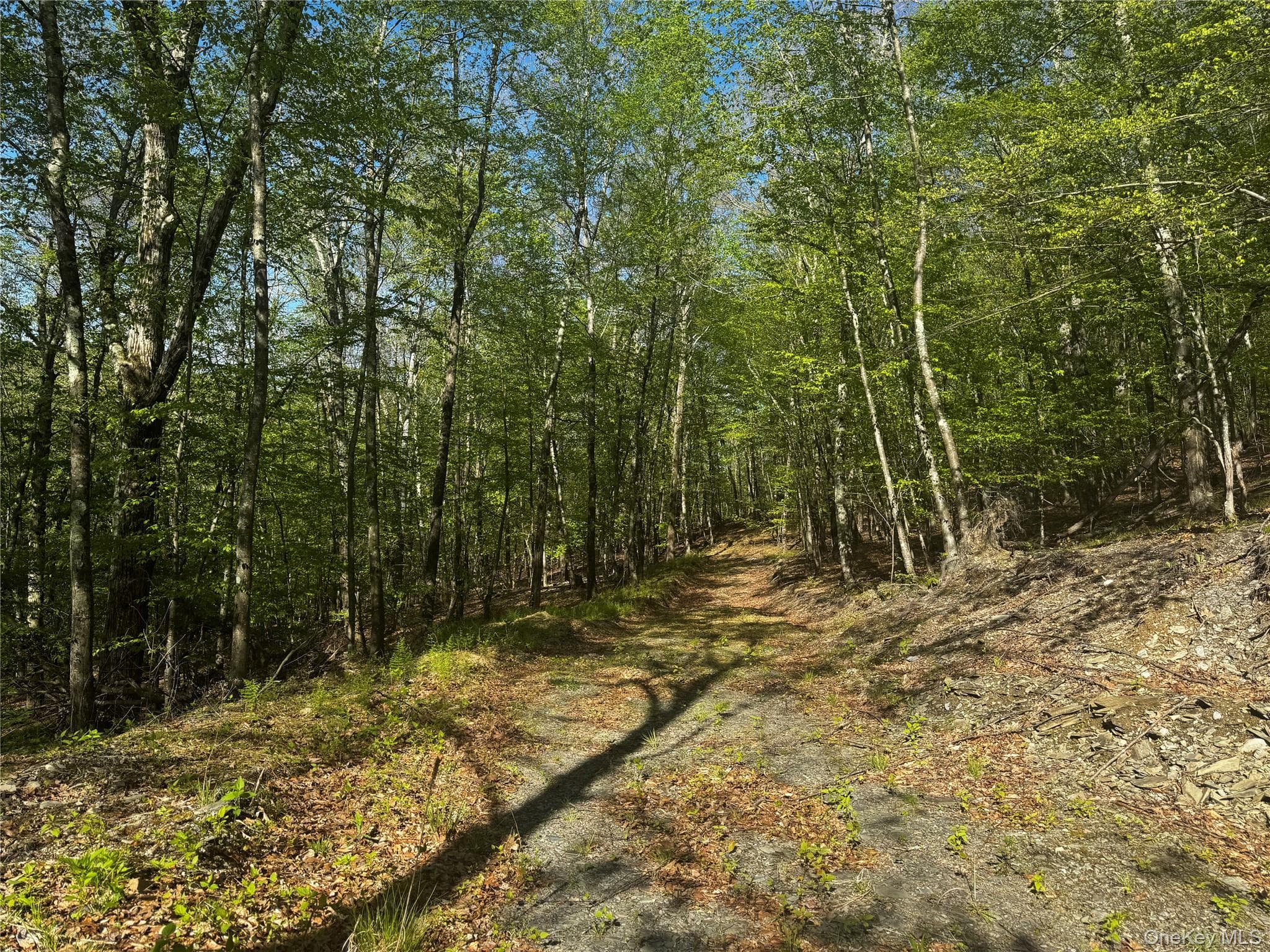 Hall Hill Road thumbnail 6