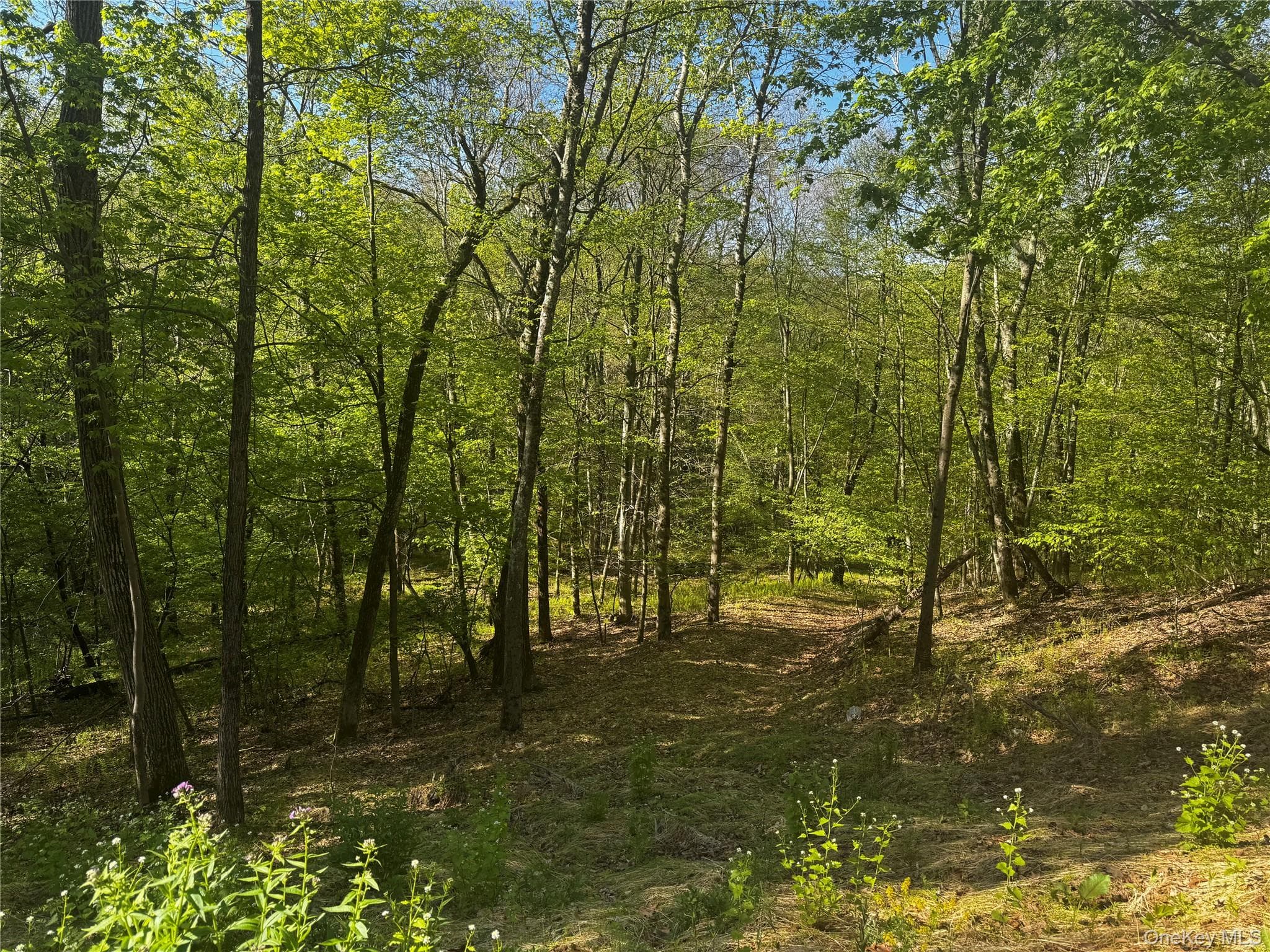 Hall Hill Road thumbnail 5