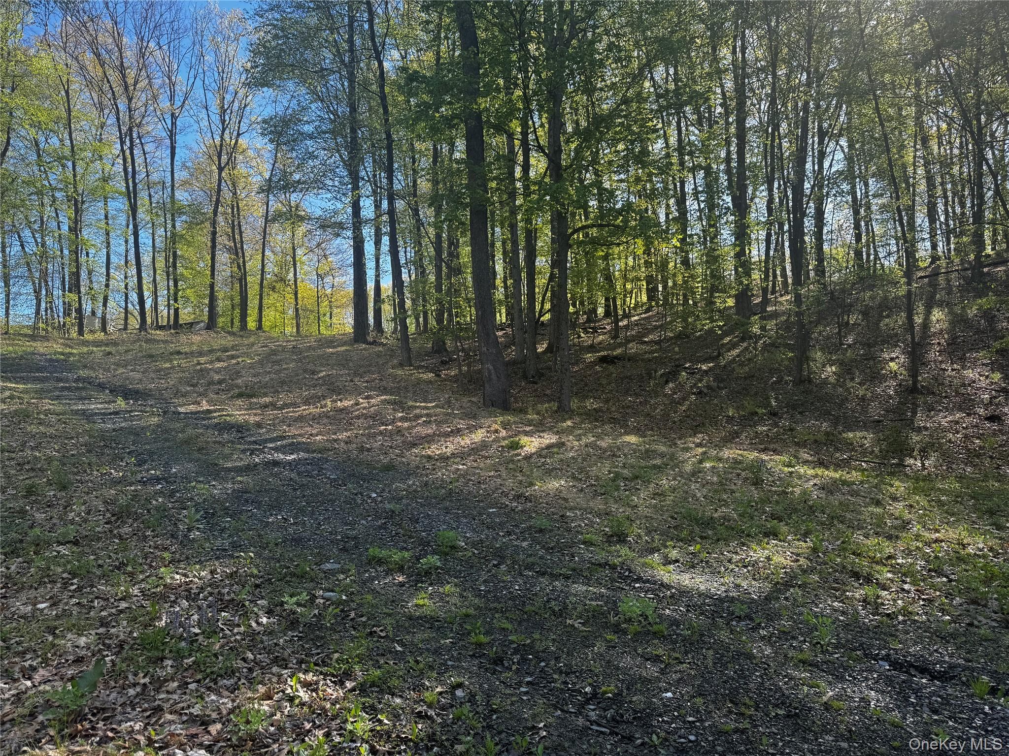 Hall Hill Road thumbnail 9