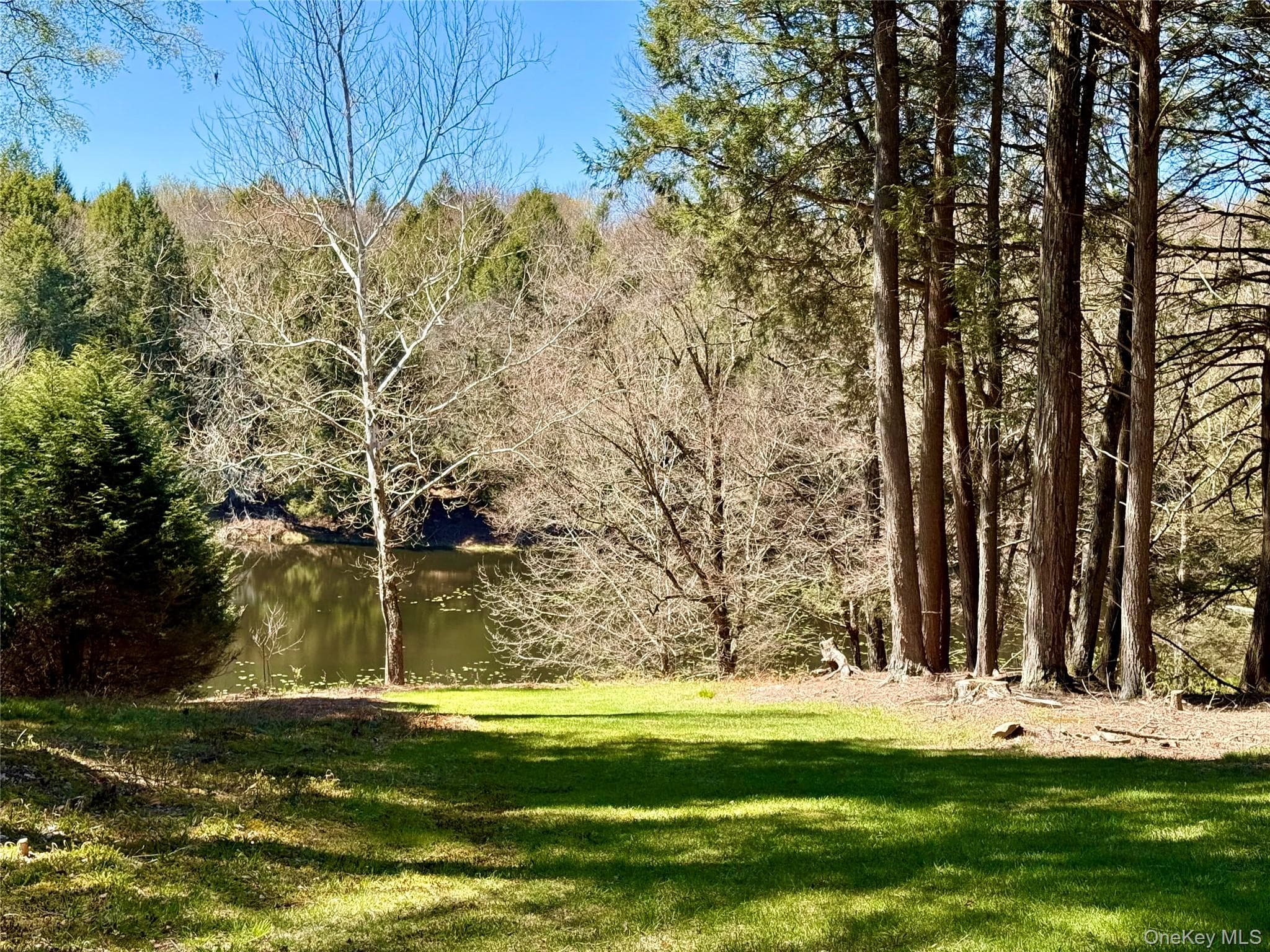 61 Pioneer Drive thumbnail 4