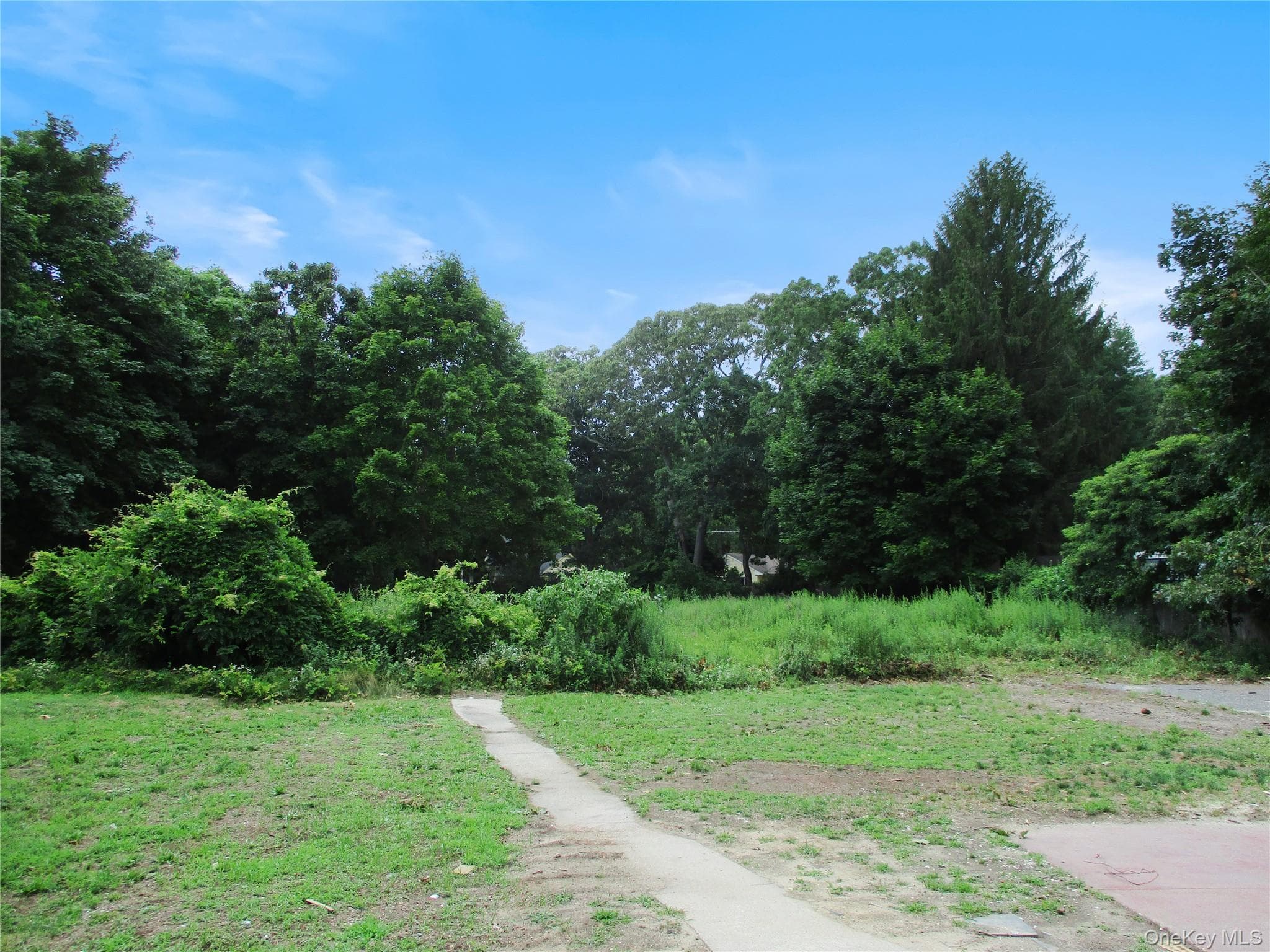 554 Mill Road thumbnail 7
