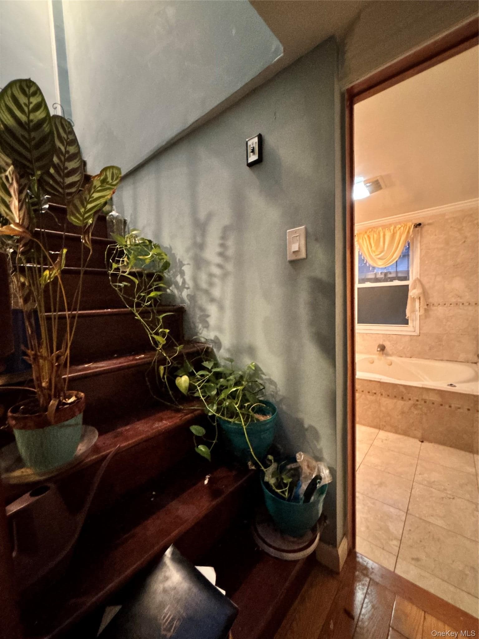 3614 Paulding Avenue thumbnail 22