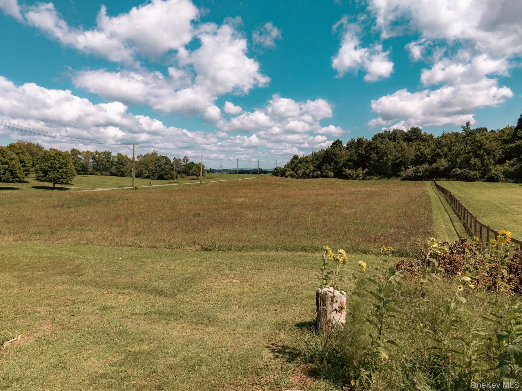 1492 County Route 7a thumbnail 4