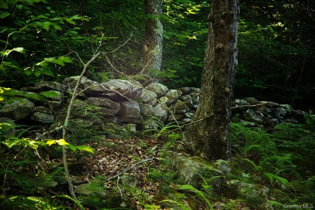 Lot 2 Woodstone Trail thumbnail 6