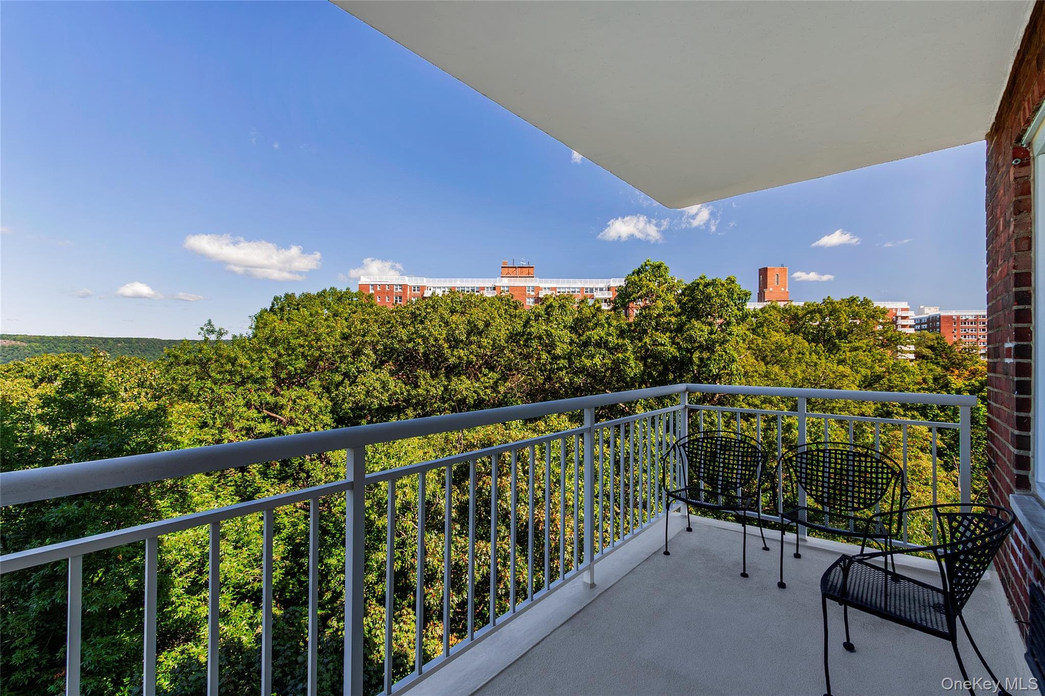 3935 Blackstone Avenue Unit: 8B thumbnail 2