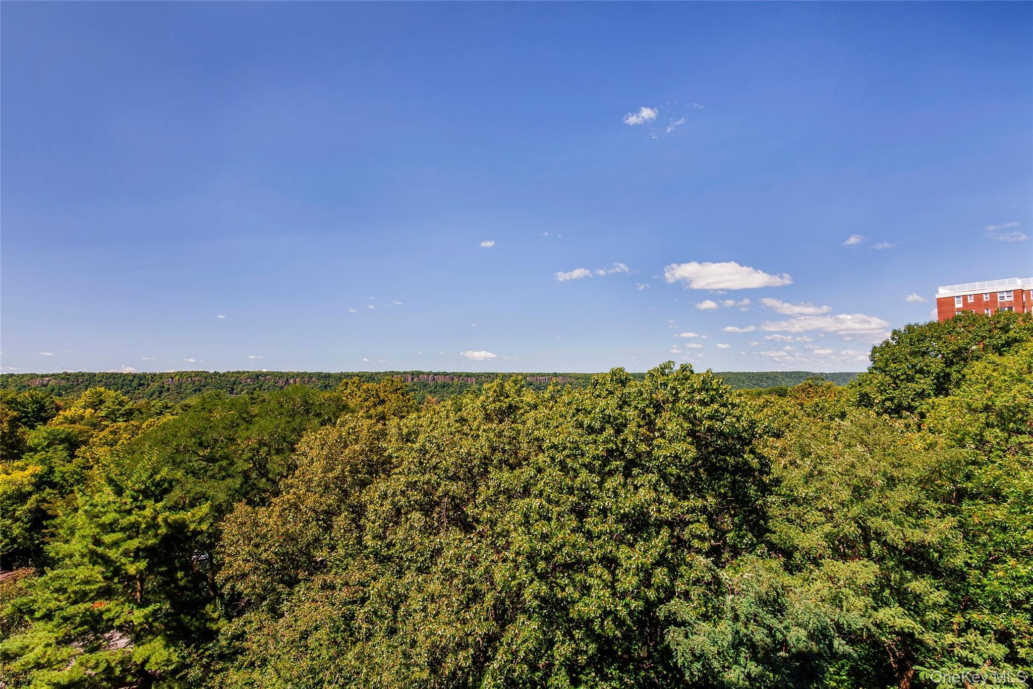 3935 Blackstone Avenue Unit: 8B thumbnail 3