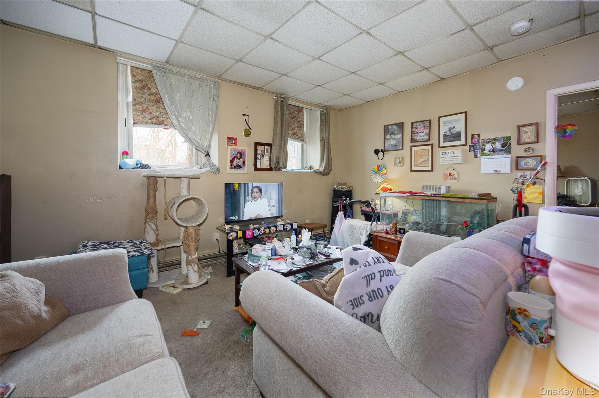 81 Vineyard Avenue thumbnail 27