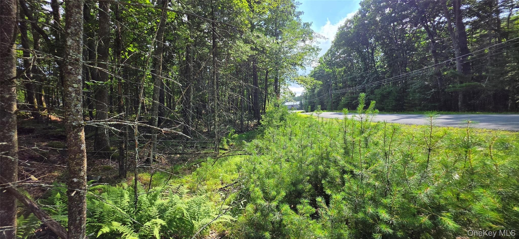 Lot 34.25 Lakeview Drive Road thumbnail 21