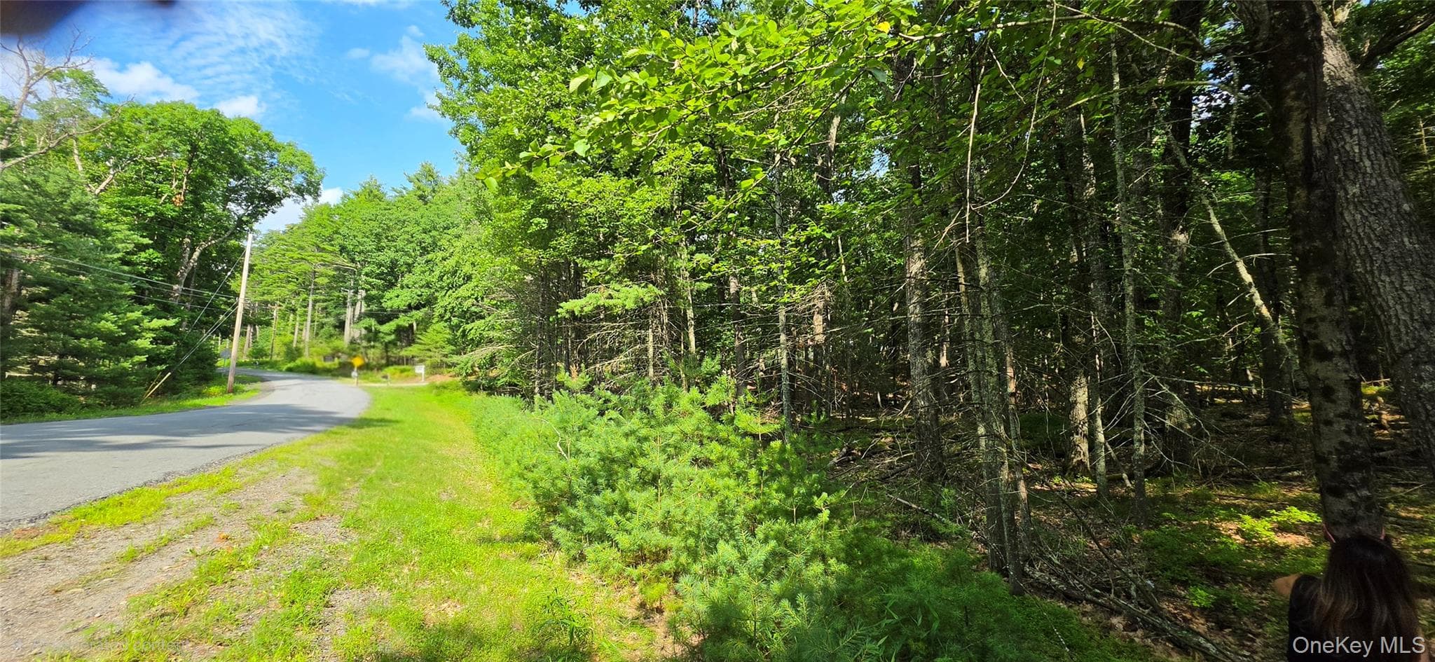 Lot 34.25 Lakeview Drive Road thumbnail 24