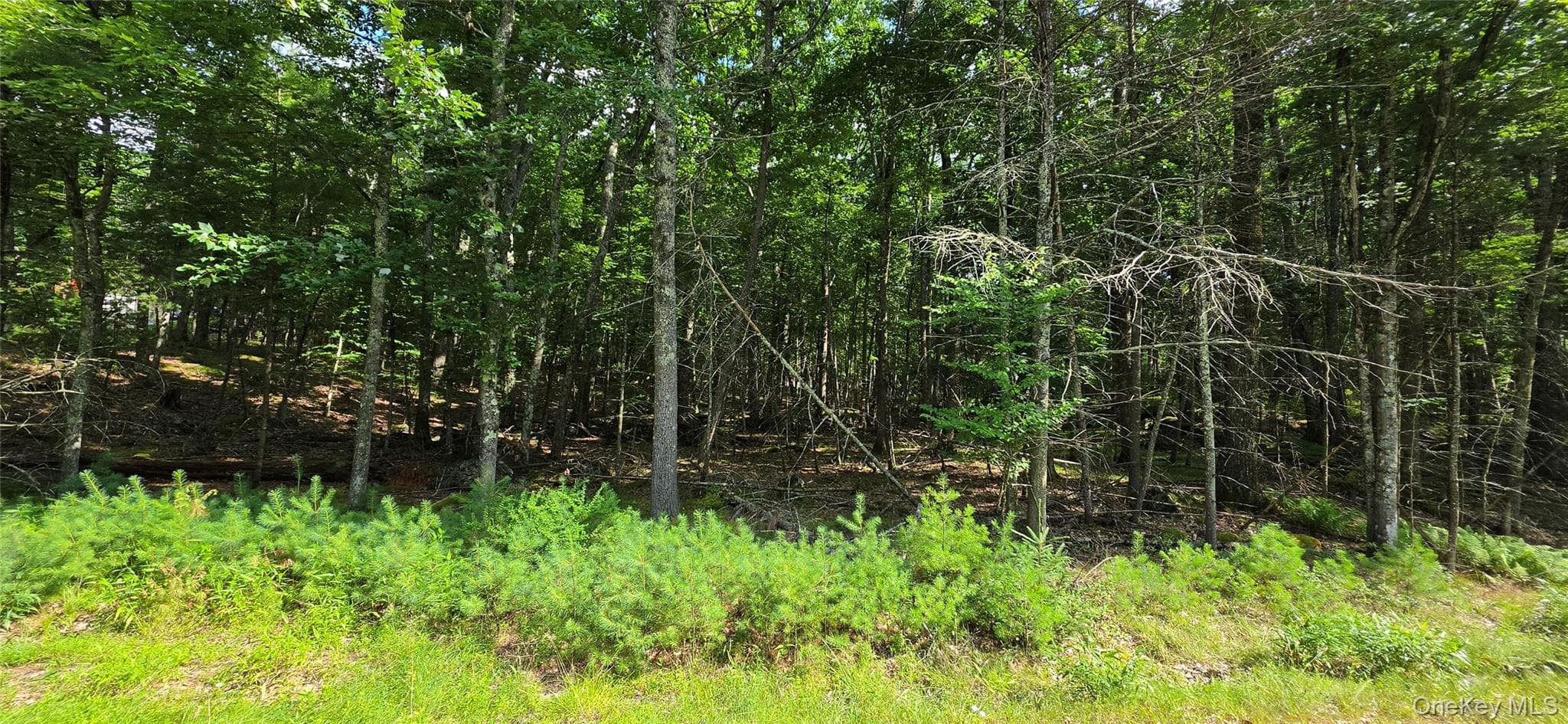 Lot 34.25 Lakeview Drive Road thumbnail 13