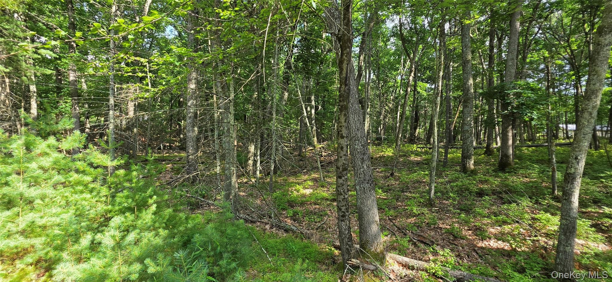 Lot 34.25 Lakeview Drive Road thumbnail 22