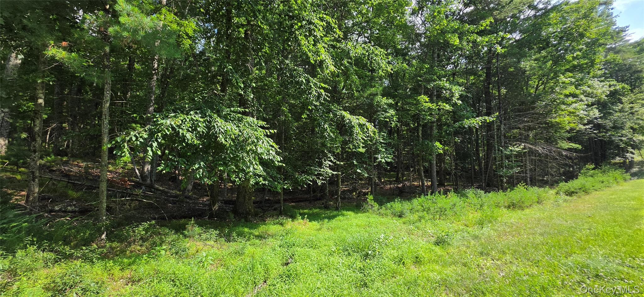 Lot 34.25 Lakeview Drive Road thumbnail 14