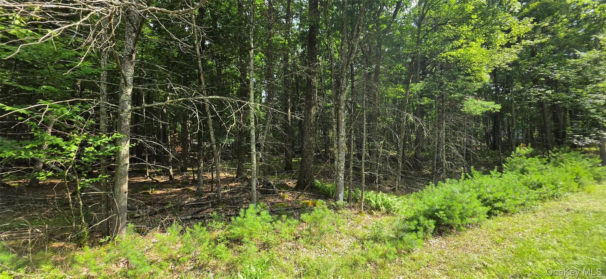 Lot 34.25 Lakeview Drive Road thumbnail 27