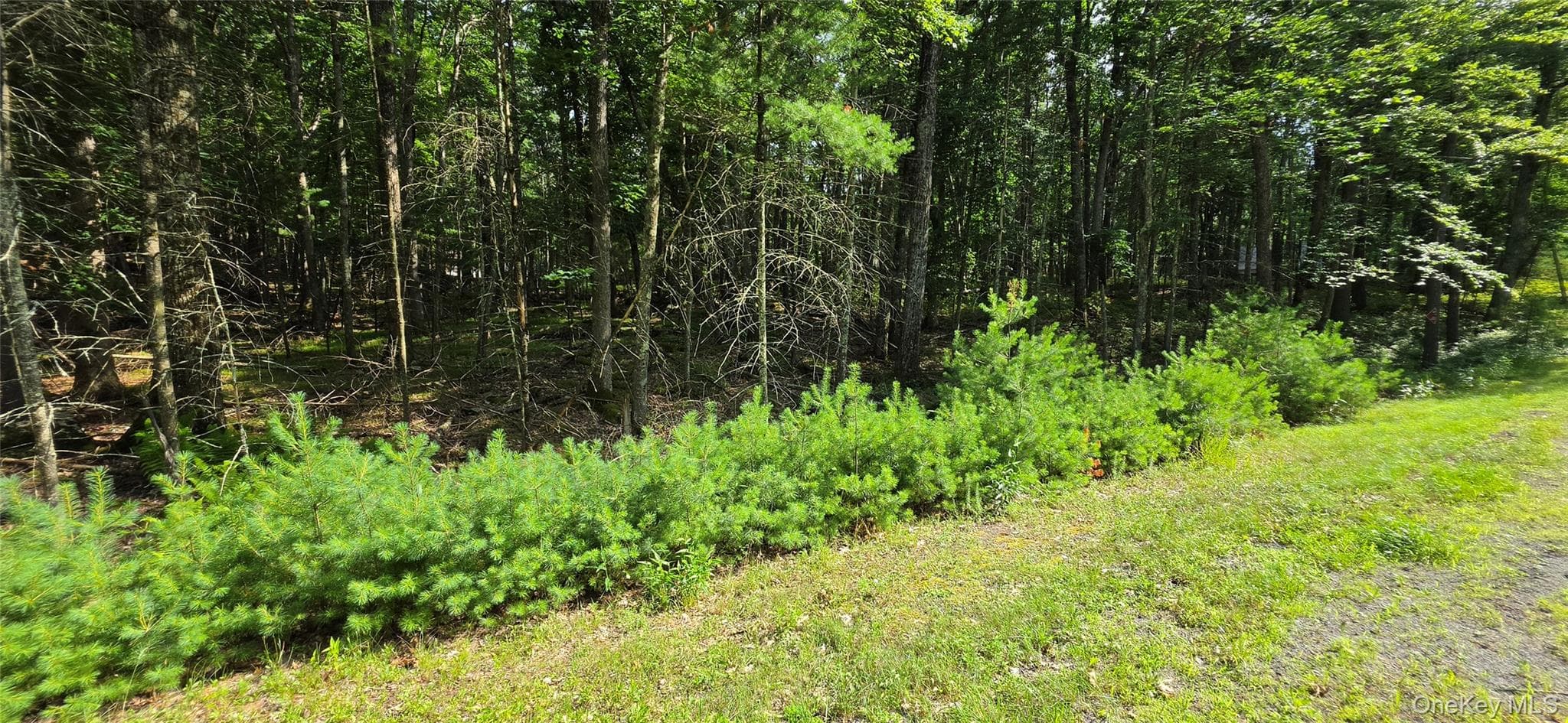 Lot 34.25 Lakeview Drive Road thumbnail 20