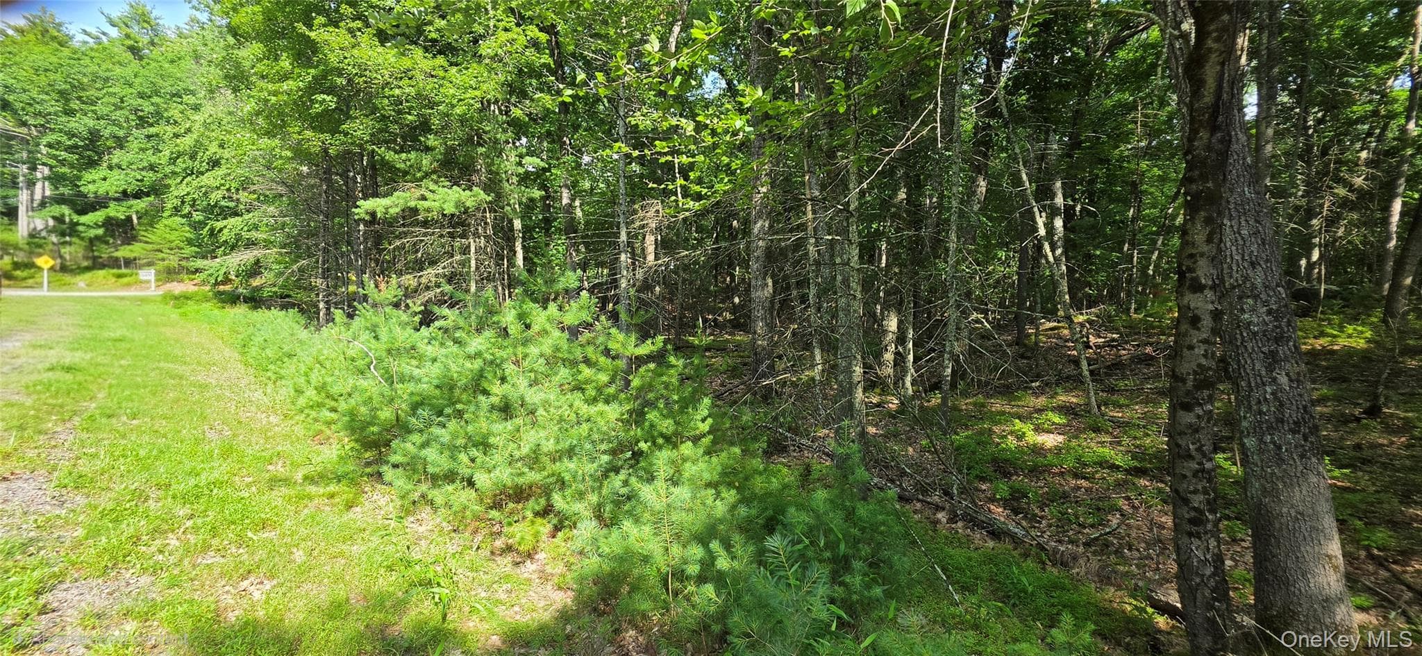 Lot 34.25 Lakeview Drive Road thumbnail 23