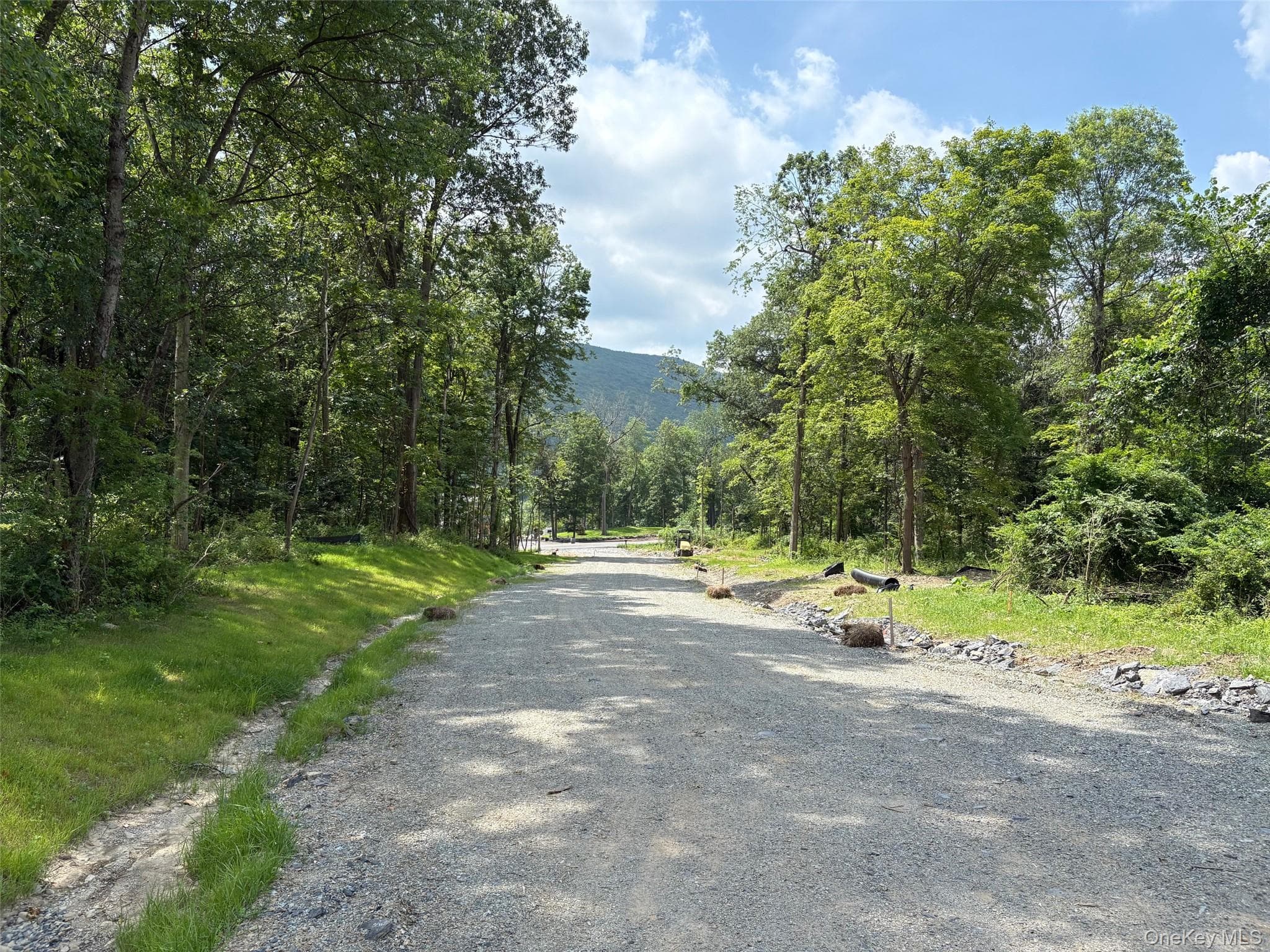4 Rosewood Lane Ct thumbnail 4