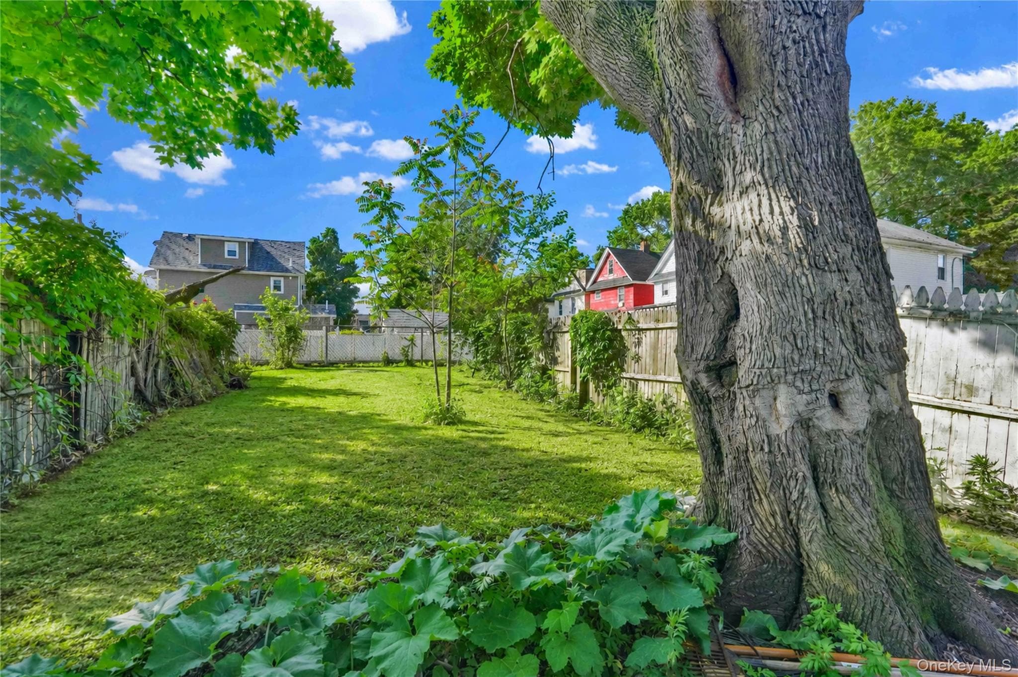 157-12B 110th Avenue thumbnail 24