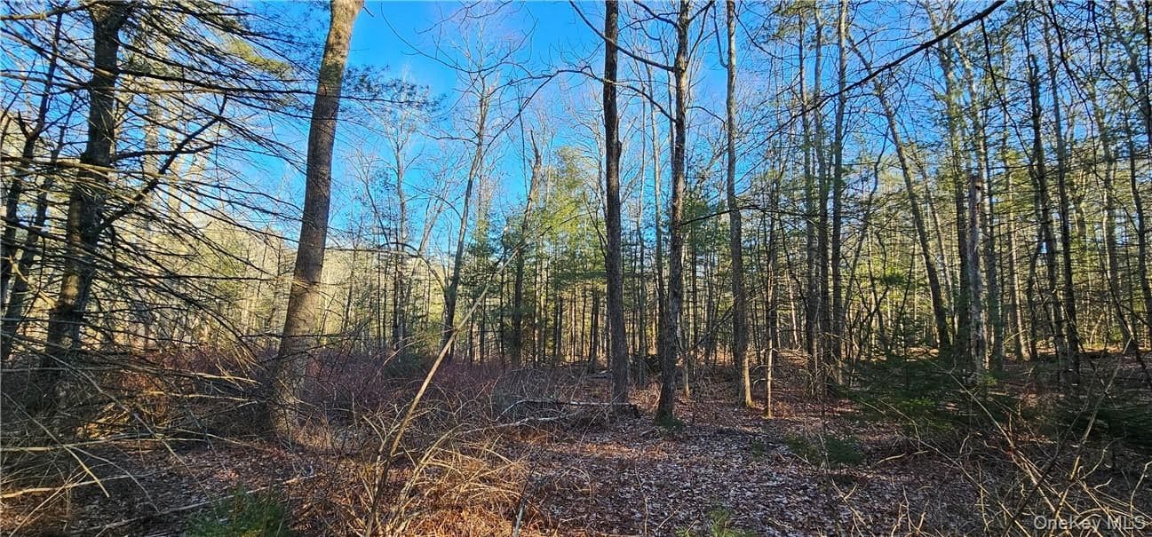 Lot 57.1 Yulan-barryville Road thumbnail 3
