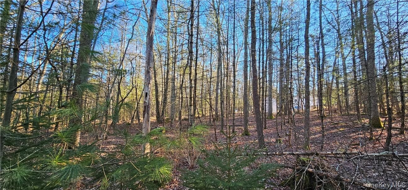 Lot 57.1 Yulan-barryville Road thumbnail 7