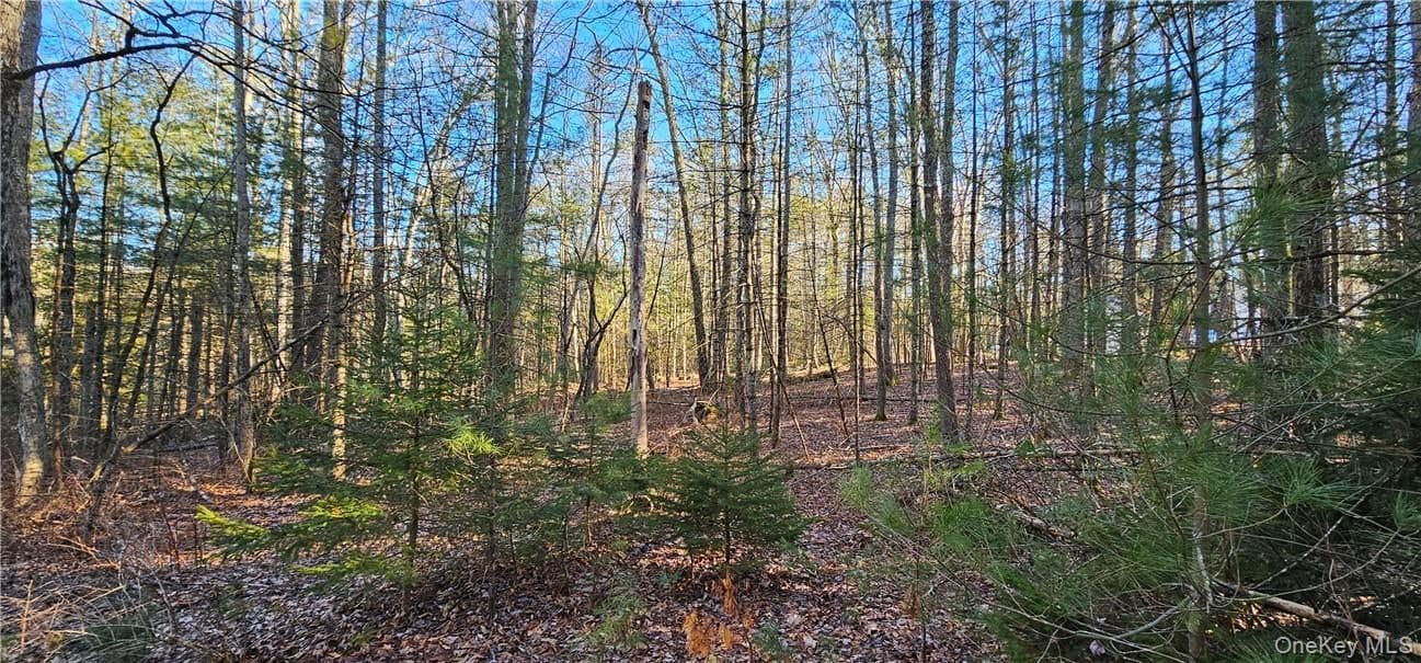 Lot 57.1 Yulan-barryville Road thumbnail 4