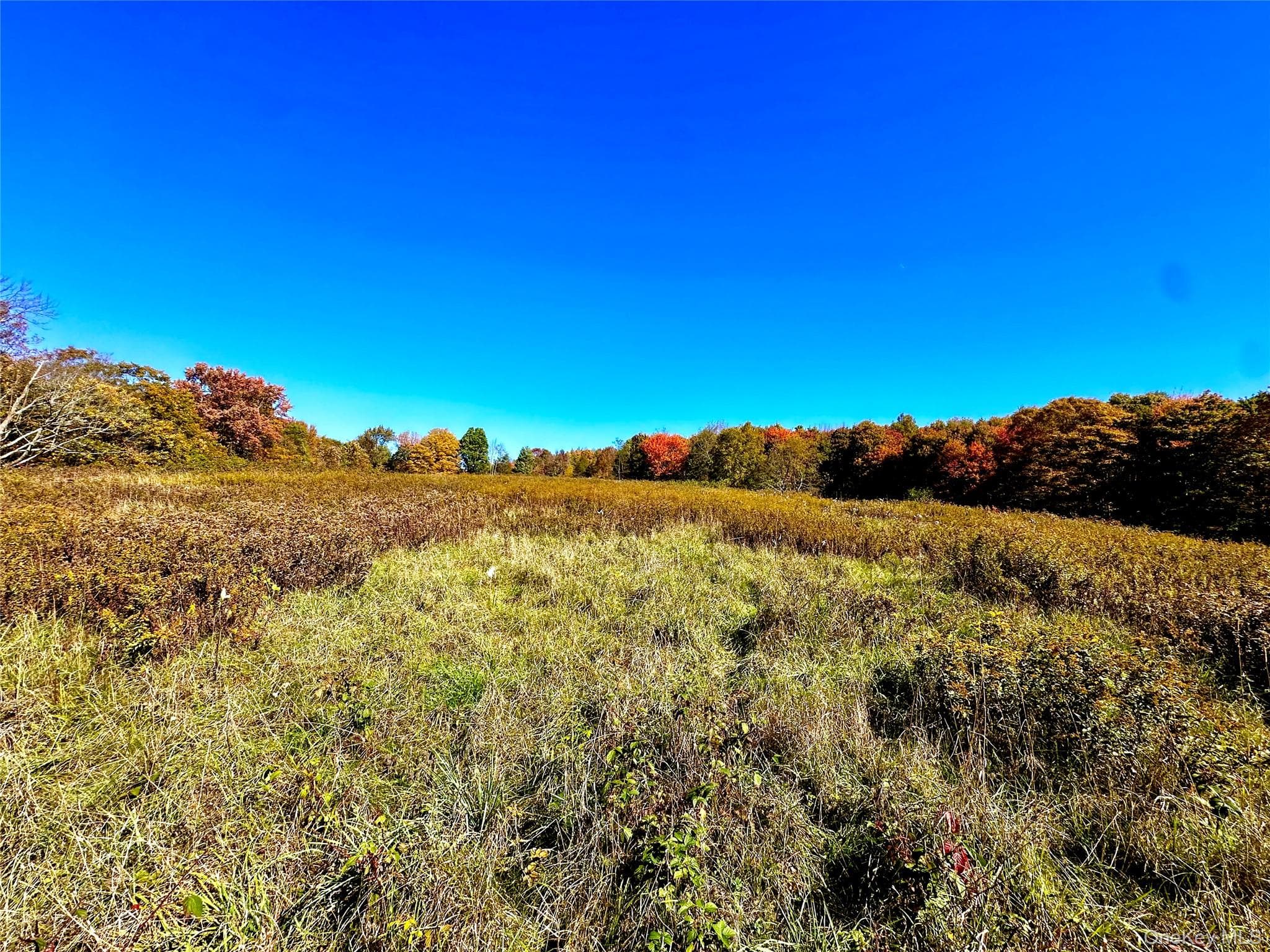 344 Midway Road thumbnail 5