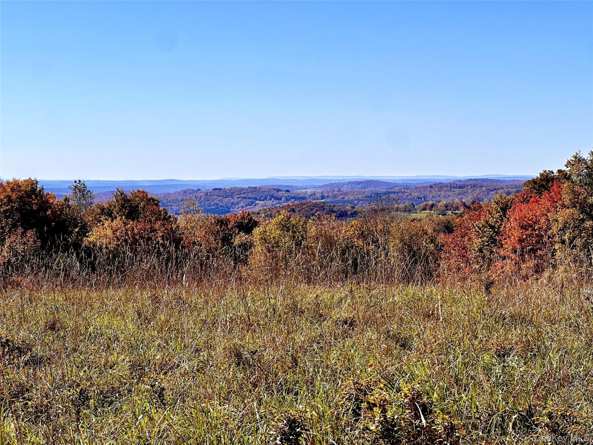344 Midway Road thumbnail 9