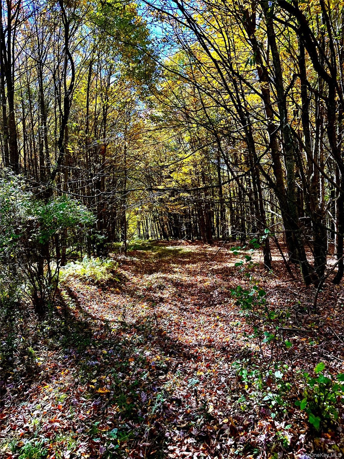 344 Midway Road thumbnail 7